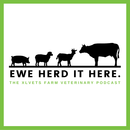 Ewe Herd It Here Cover Artwork