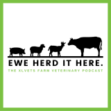 Ewe Herd It Here Cover Art